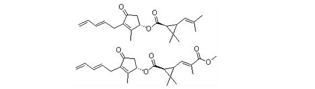 Pyrethrum Extract,Pyrethrin