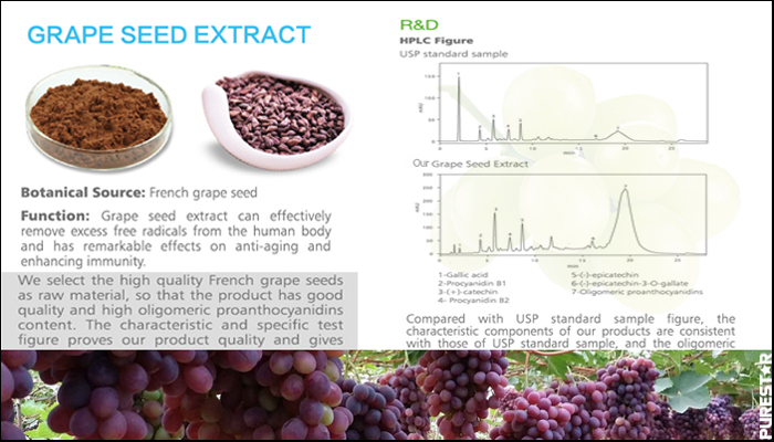 Grape Seed Extract