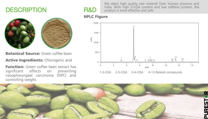 Green coffee bean extract