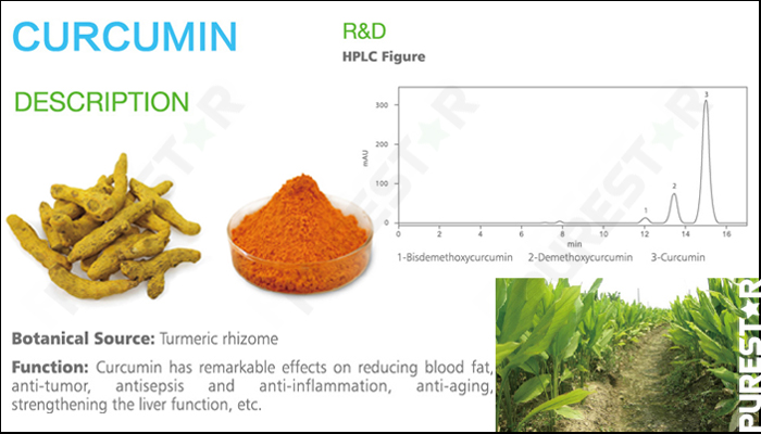 Curcumin