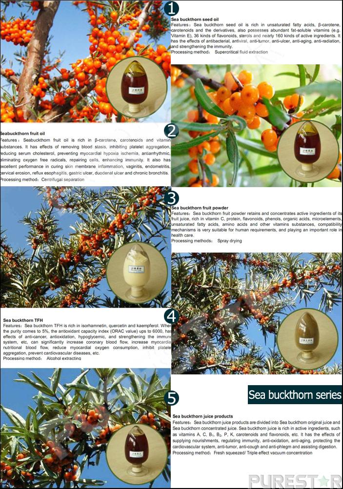 Seabuckthorn Seed Oil