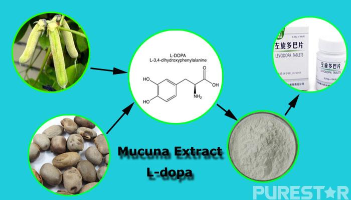  Mucuna Extract,L-dopa