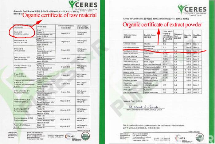 Organic certificate of reishi mushroom extract powder Organic certificate of reishi mushroom extract powder