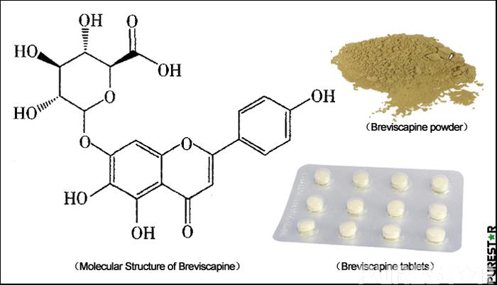 breviscapine structure