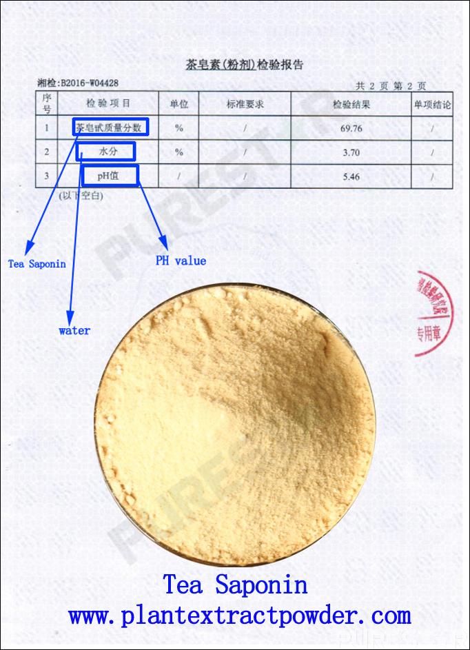 Camellia Oleifera Seed Extract,Tea Saponin