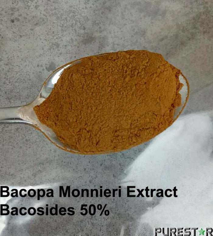 Bacopa Monnieri Extract,Bacosides 50%